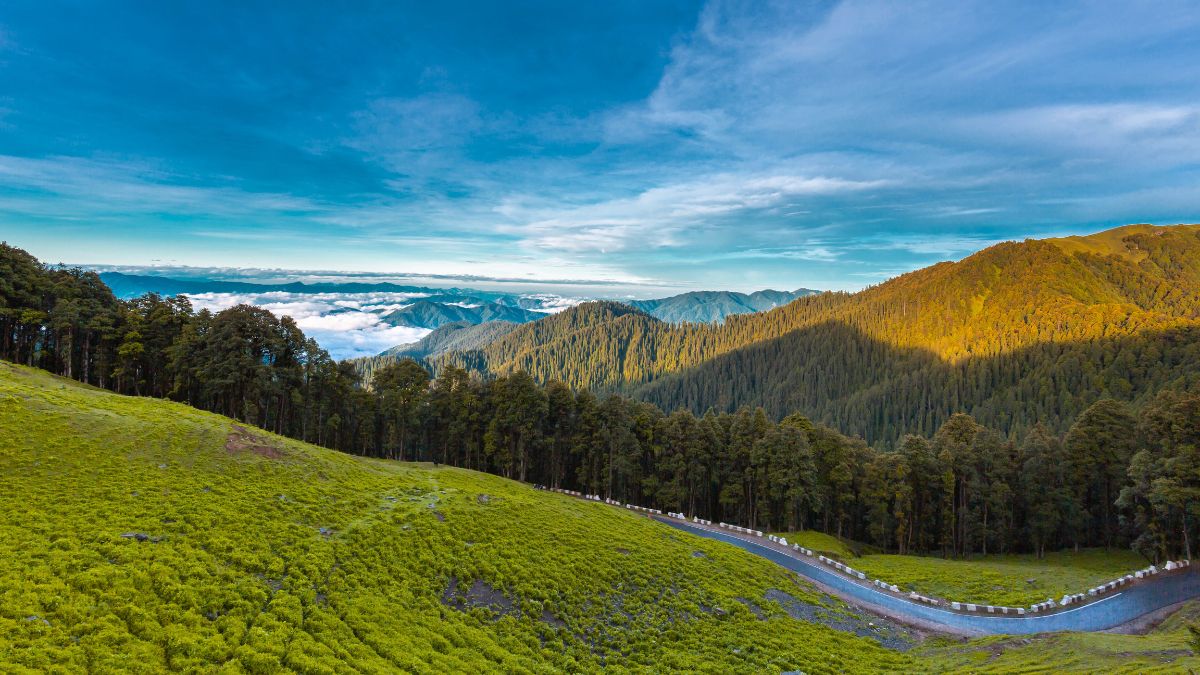 Jibhi Tour Packages