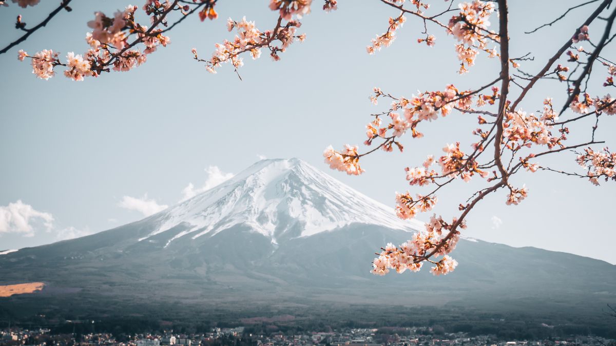 https://d2qa7a8q0vuocm.cloudfront.net/images/17339520251014080642.png