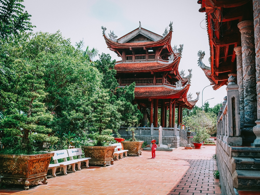 Vietnam 6N7D